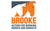 Brooke Brooke